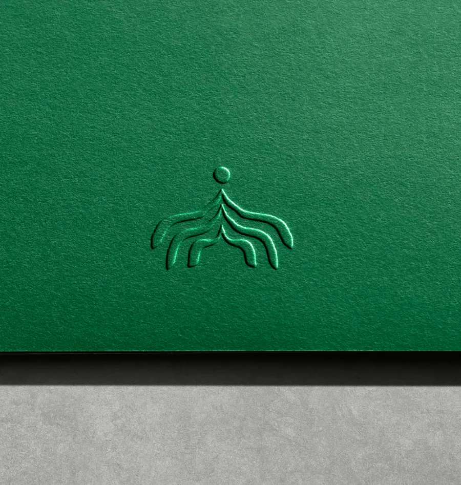 Brand identity by Ari Saso for Pablo Guzman