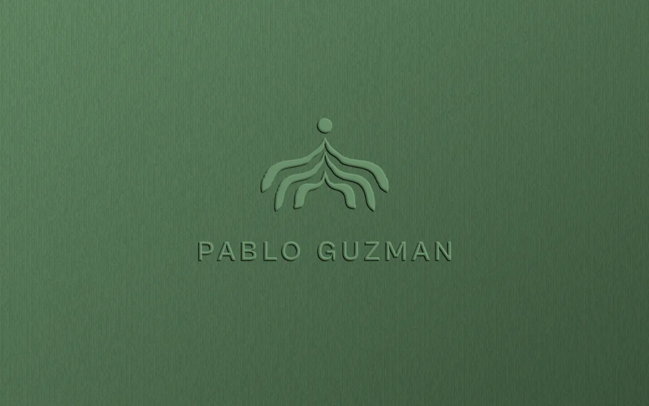 Brand identity by Ari Saso
