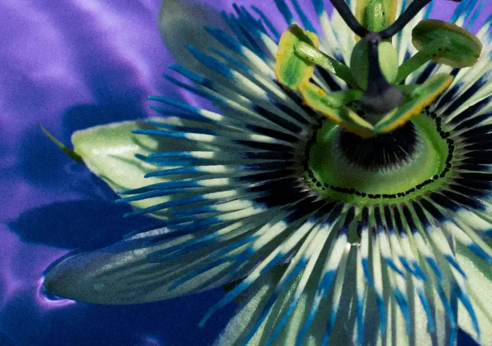 Background photo